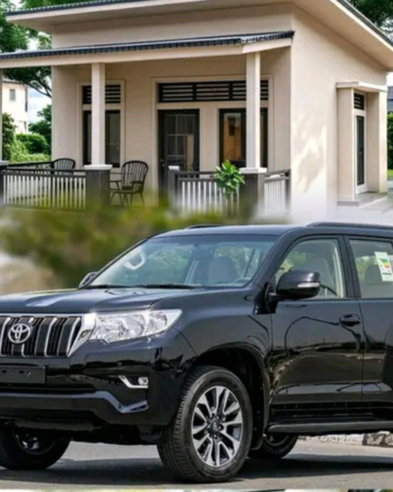 InShot_20260203_061531946