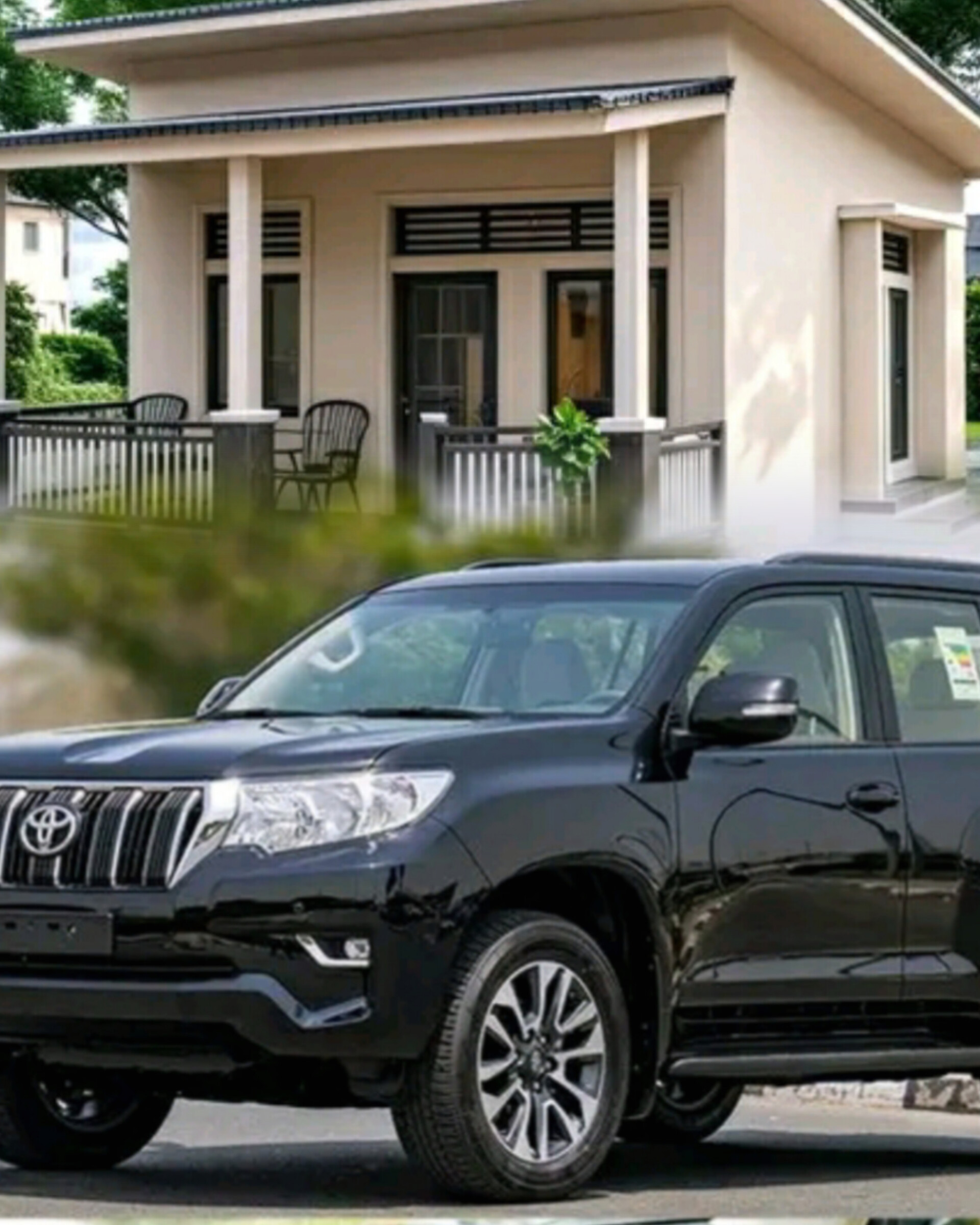 InShot_20260203_061531946