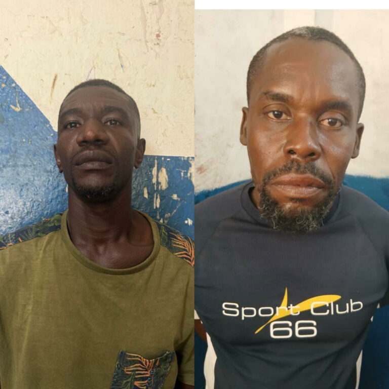 InShot_20260224_202214836