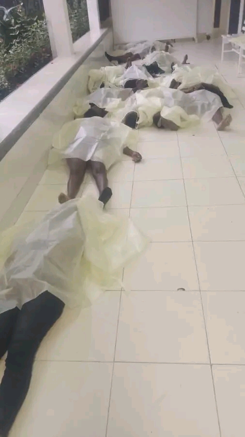 Drame à la Citadelle La Ferrière, Nord : plusieurs dizaines de morts lors d’une activité