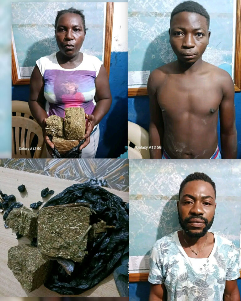 InShot_20260407_120744990